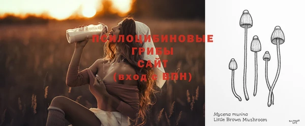 прущие грибы Алексин