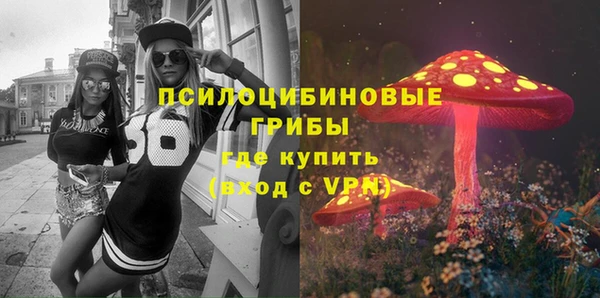 a pvp Алзамай