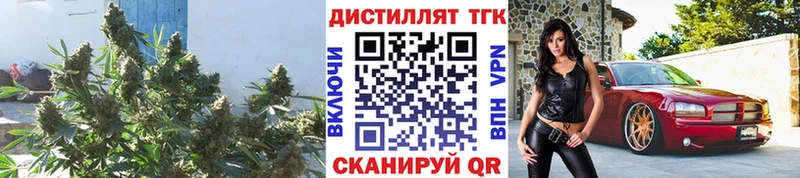 Дистиллят ТГК гашишное масло  blacksprut ссылка  Гусь-Хрустальный 