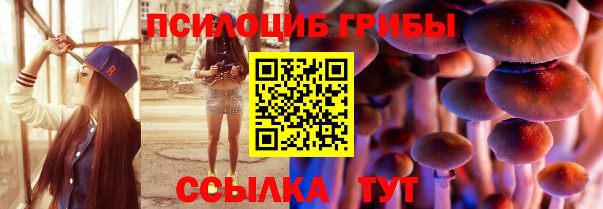 Галлюциногенные грибы GOLDEN TEACHER  Псилоцибиновые грибы ЛСД  Гусь-Хрустальный  Вход с VPN 
