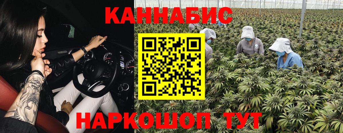 Каннабис тримм Гусь-Хрустальный
